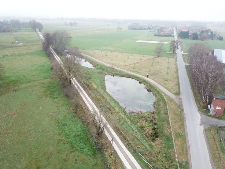 in der Flurbereinigung geschaffenes Regenrückhaltebecken zur geregelten Abführung des anfallenden Oberflächenwassers mit neu angelegter Streuobstwiese und neuem Spurbahnweg