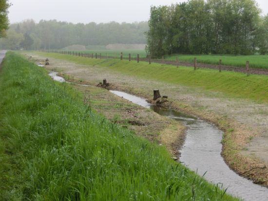 Flurbereinigung Hollenstede