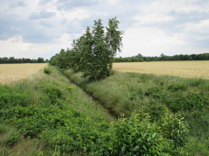 Flurbereinigung Wesuwermoor