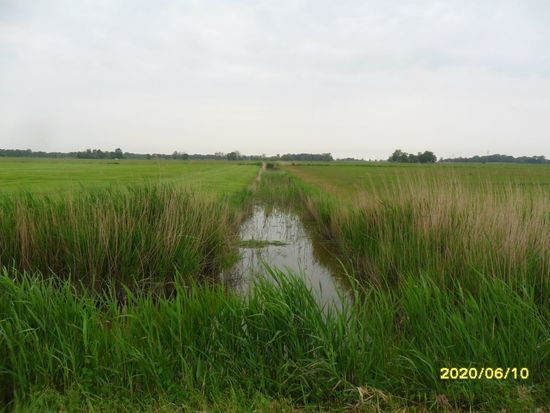 Flurbereinigung Waddenser Wisch