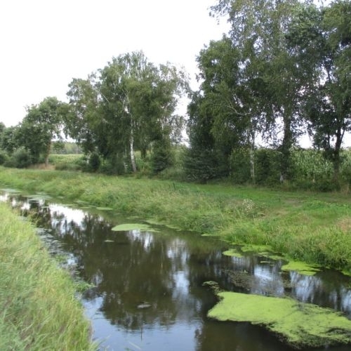 Flurbereinigung Klein Berßen-Stavern