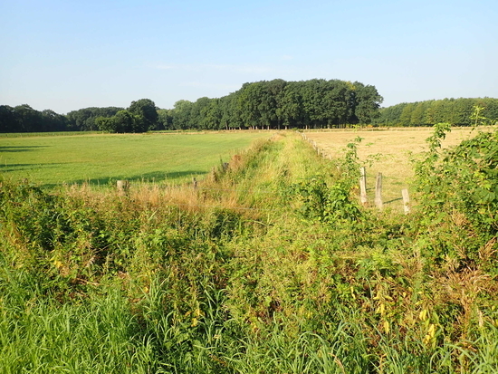 Flurbereinigung Geeste