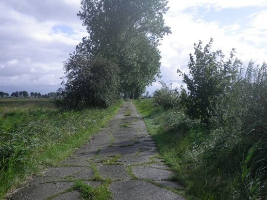 Wolderweg in der Flurbereinigung Eilsum-Grimersum, Landreis Aurich