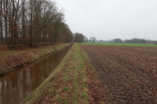 Blick auf den Renslager Kanal