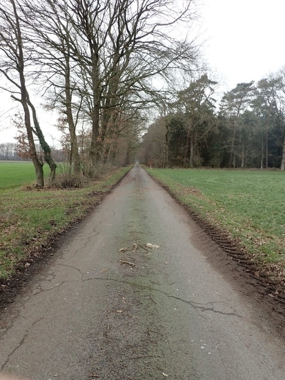 Weg im Flurbereinigunggebiet Settrup