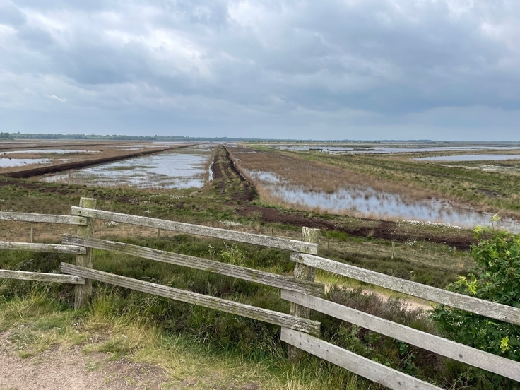 Moor, Aussicht, Staatliche Moorverwaltung