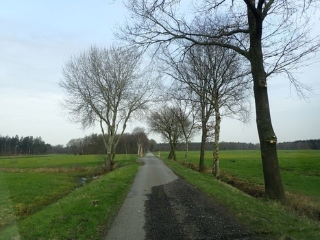 Weg im Flurbereinigungsverfahren Langholt, Landkreis Leer
