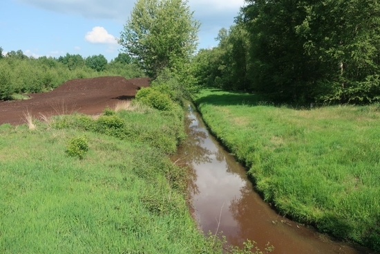 BZV Dievenmoor