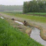 Flurbereinigung Hollenstede