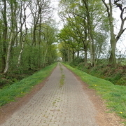 Sauteler Kanal