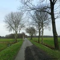 Weg in der Flurbereinigung Langholt, Landkreis Leer